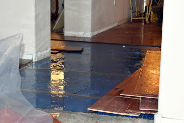 Professional Flood Damage Restoration technician working in Green Ridge, MO